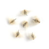 Tall anemone seeds on a white background, Anemone virginiana.